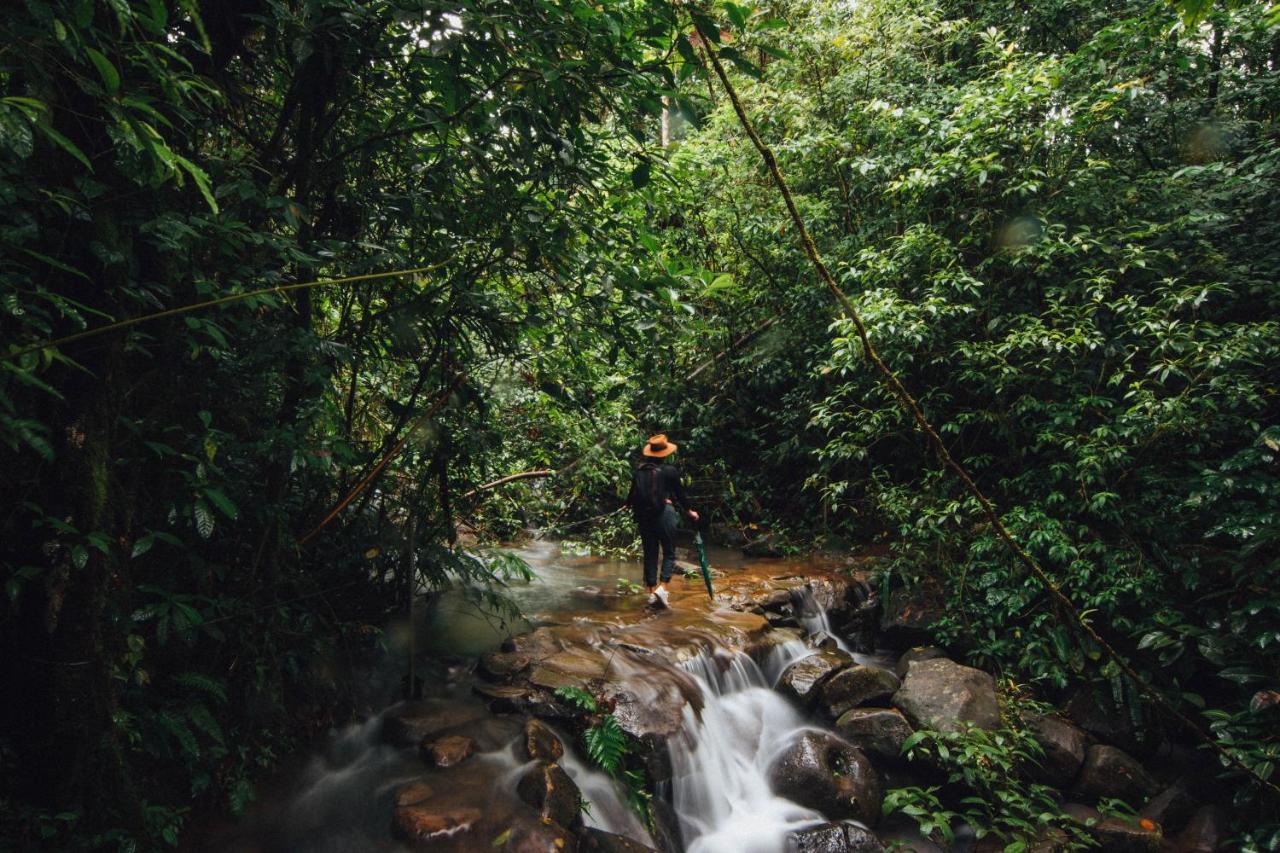 La Tigra Rainforest Lodge La Fortuna Екстер'єр фото