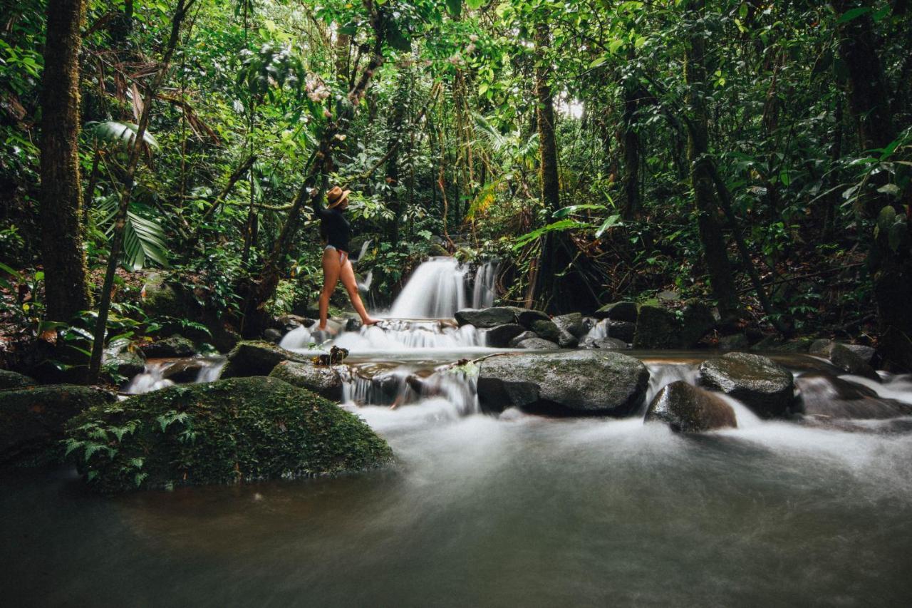 La Tigra Rainforest Lodge La Fortuna Екстер'єр фото