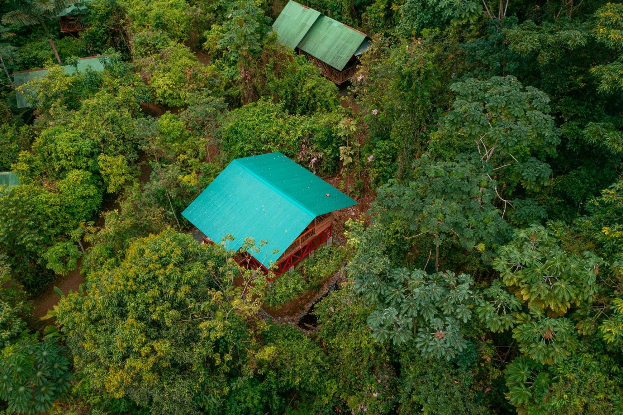 La Tigra Rainforest Lodge La Fortuna Екстер'єр фото