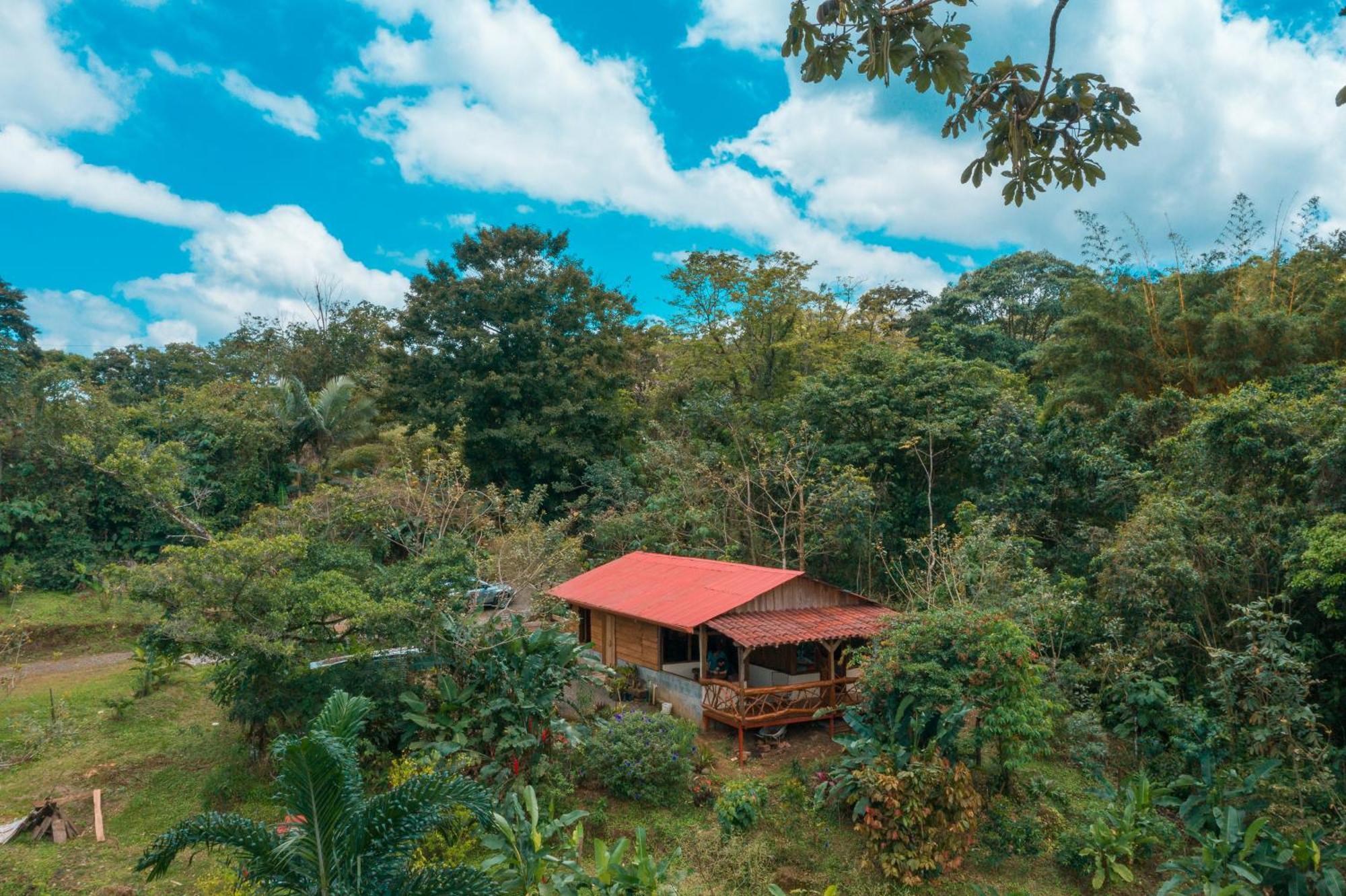La Tigra Rainforest Lodge La Fortuna Екстер'єр фото