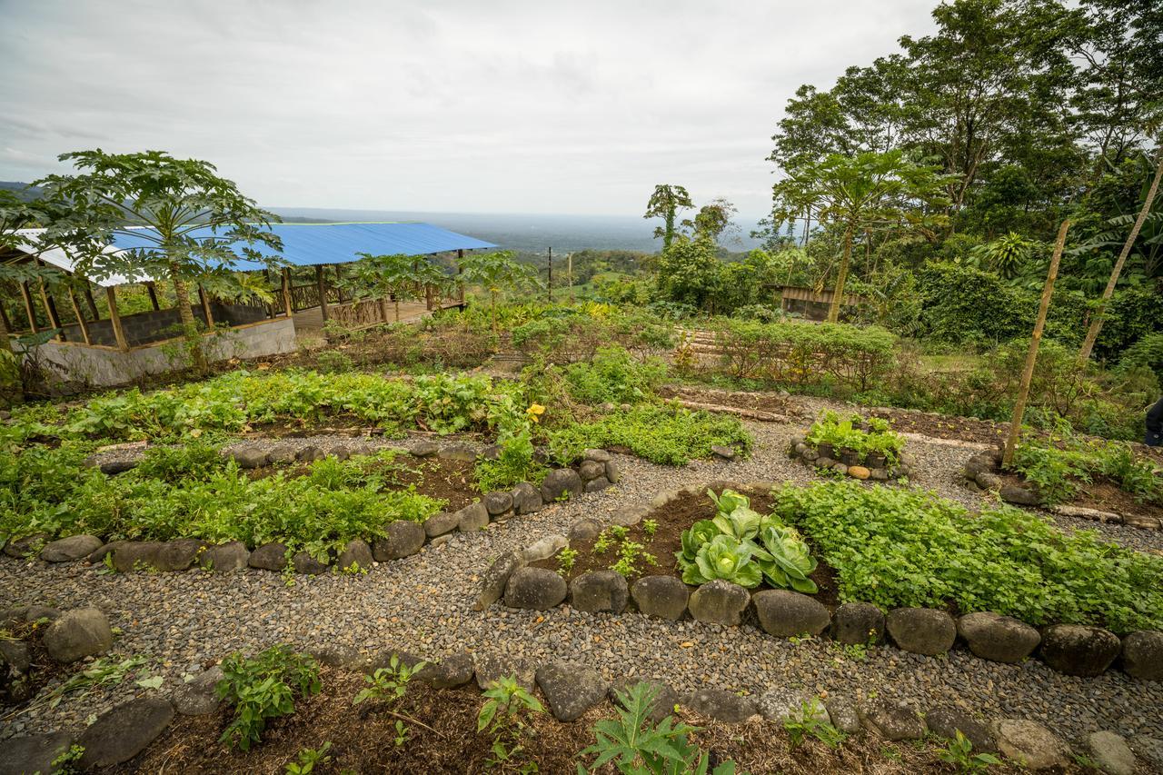 La Tigra Rainforest Lodge La Fortuna Екстер'єр фото