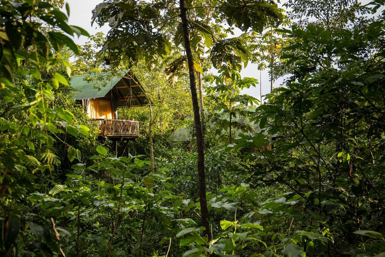 La Tigra Rainforest Lodge La Fortuna Екстер'єр фото